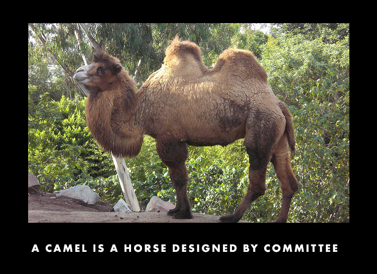 images/figures/camel